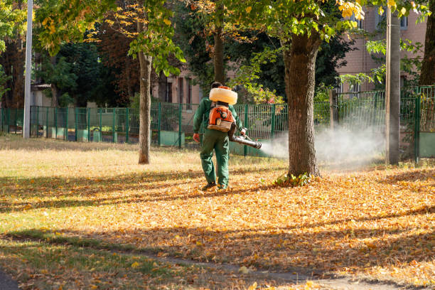 Best Pest Control Near Me in Bee Cave, TX